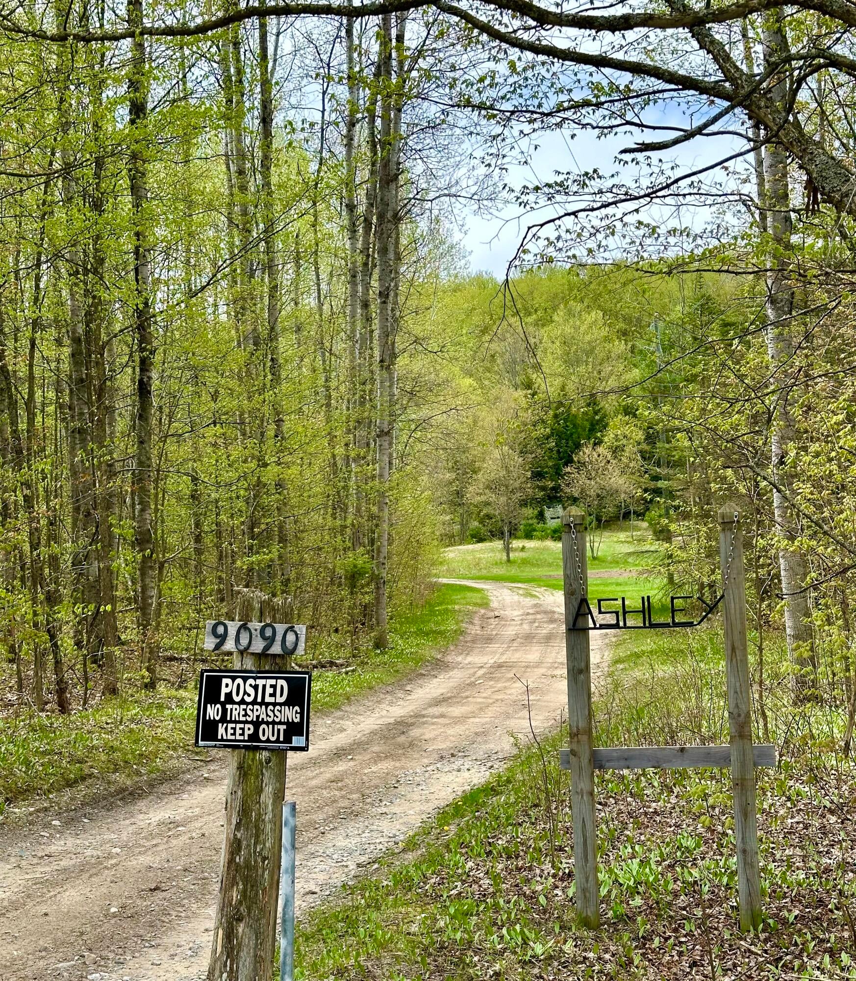 9090 Strilecky Road Atlanta, MI 49709 - Photo 2 of 55 Gallery Image 2