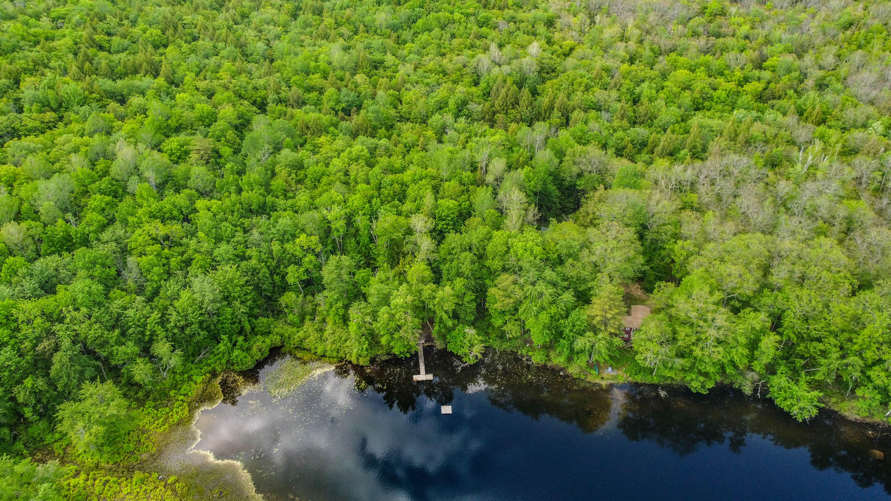 142 5 Kezar Ponds Road Waterford, ME 04088 - Photo 65 of 73 20220610gp-67036