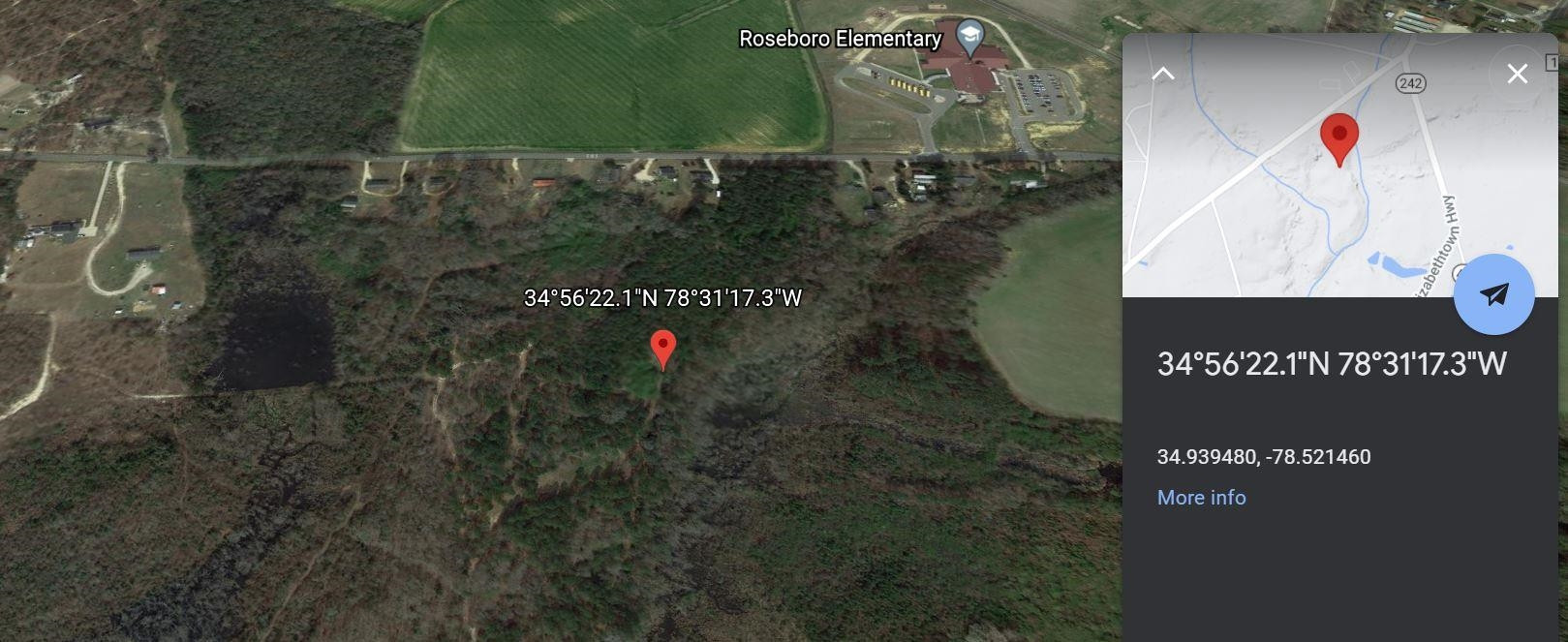 0 Butler Island Road Roseboro, NC 28382 - Photo 4 of 4