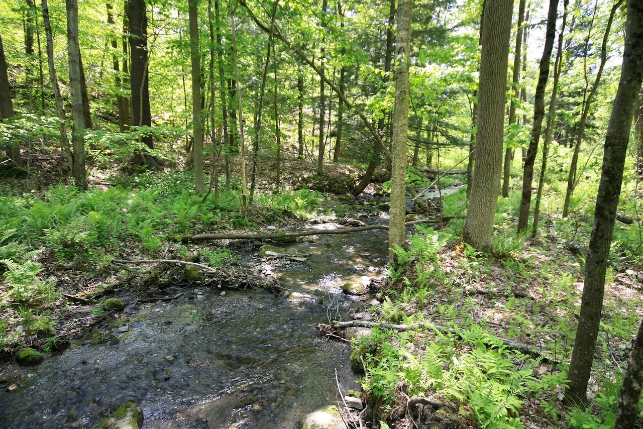 808 Jericho Road Hartford, VT 05001 - Photo 4 of 19