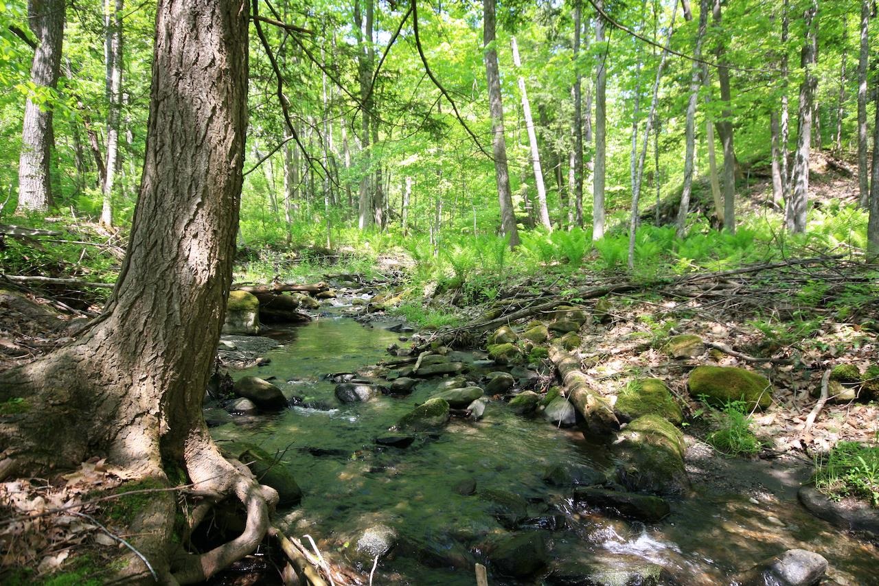 808 Jericho Road Hartford, VT 05001 - Photo 5 of 19