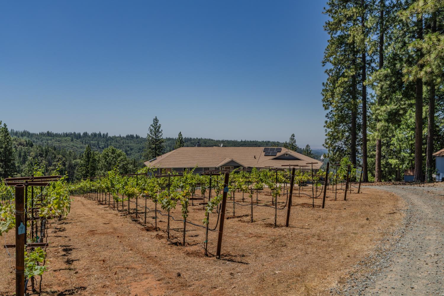 18591 Ponderosa Hills Road Volcano, CA 95689 - Photo 5 of 92