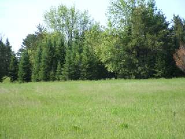 19 Skanawan Lake Road Irma, WI 54442 - Photo 1 of 4 Gallery Image 1
