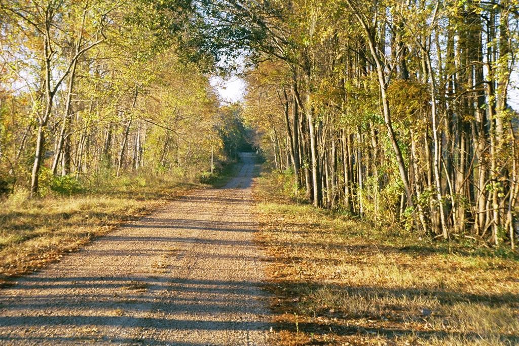 6 Smith Loop South Cleveland, TX 77327 - Photo 20 of 22