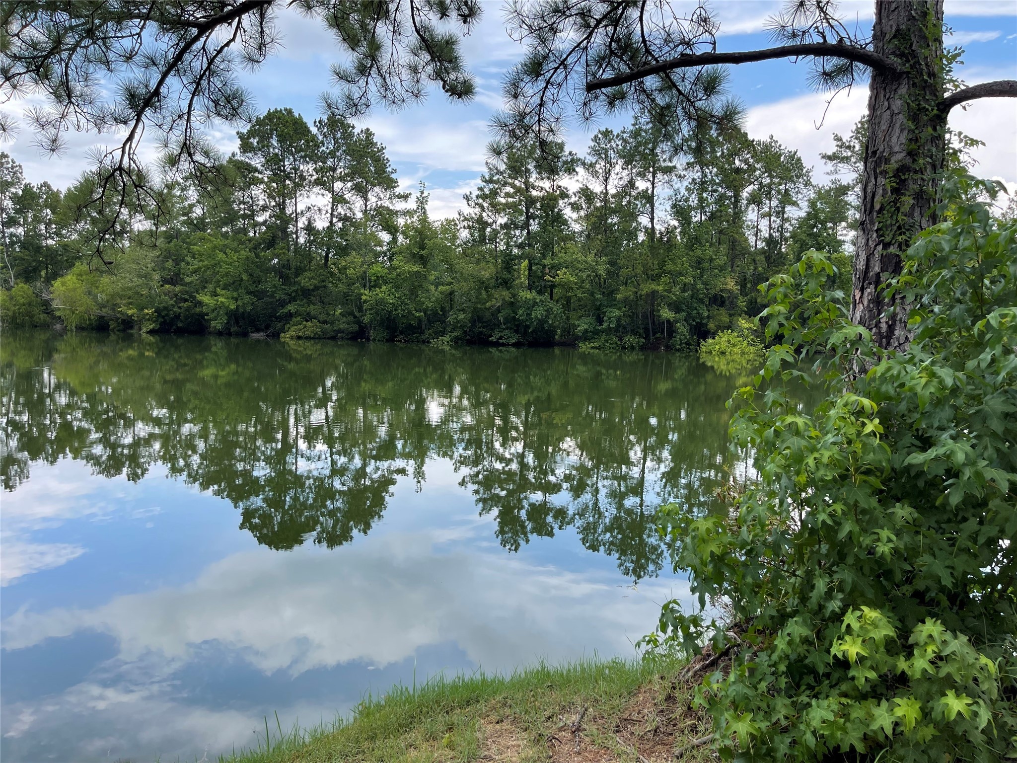 6 Smith Loop South Cleveland, TX 77327 - Photo 5 of 22