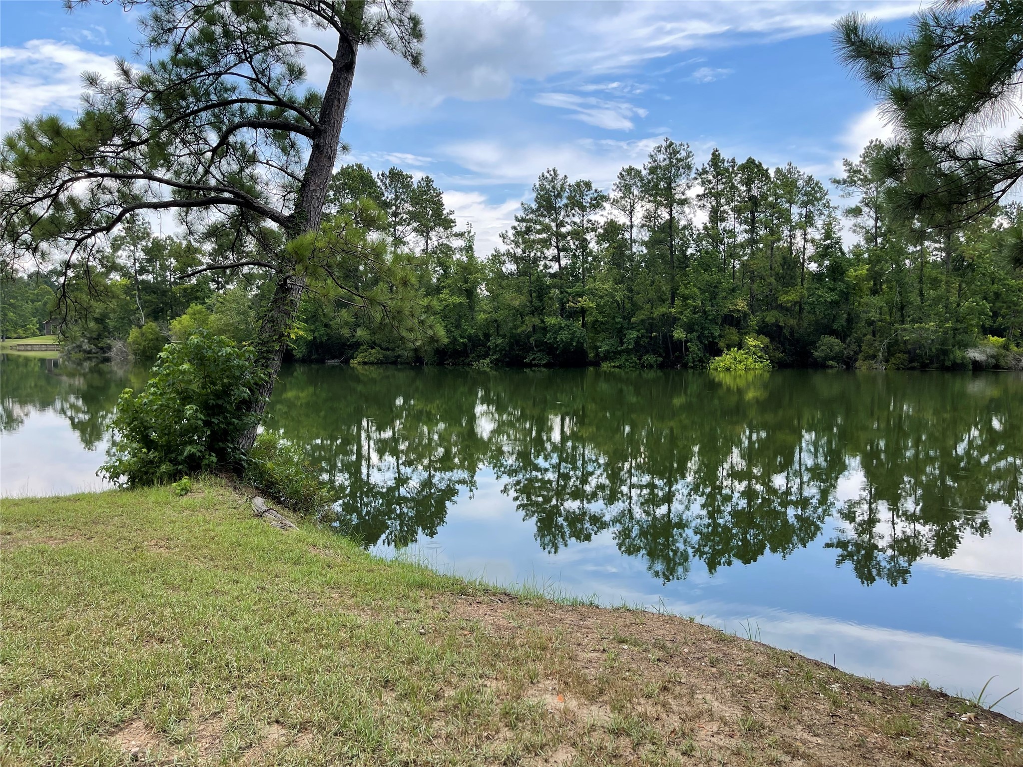 6 Smith Loop South Cleveland, TX 77327 - Photo 6 of 22