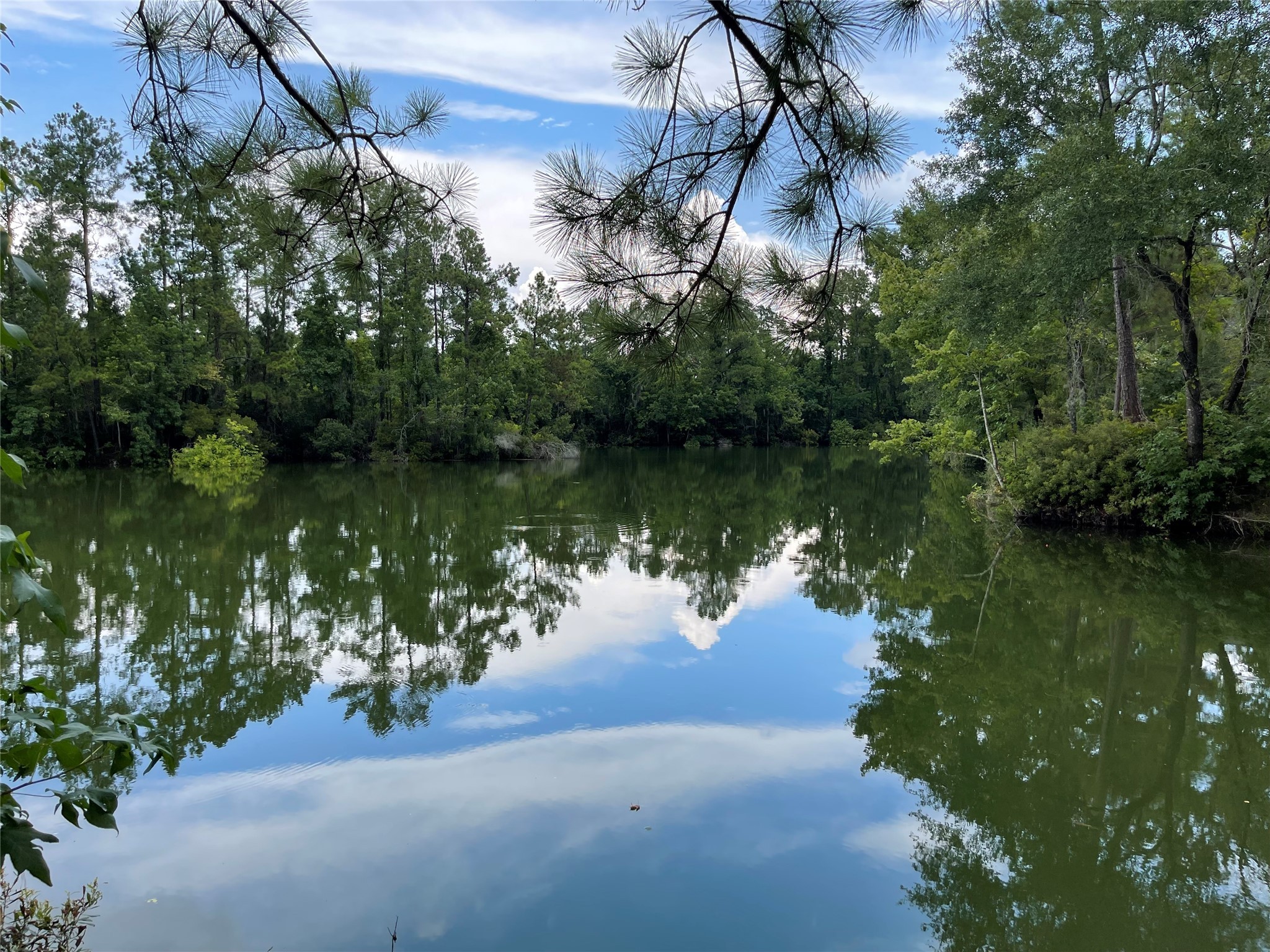 6 Smith Loop South Cleveland, TX 77327 - Photo 8 of 22