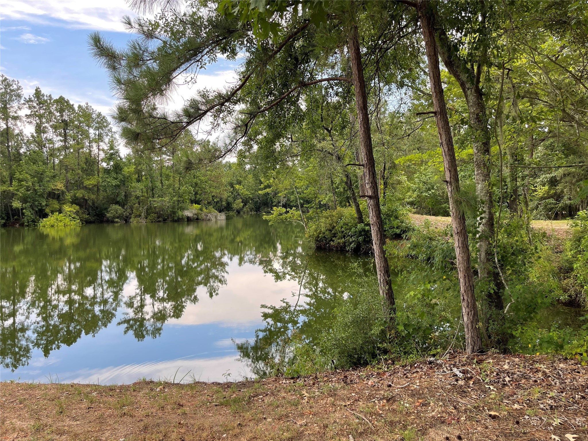 6 Smith Loop South Cleveland, TX 77327 - Photo 9 of 22