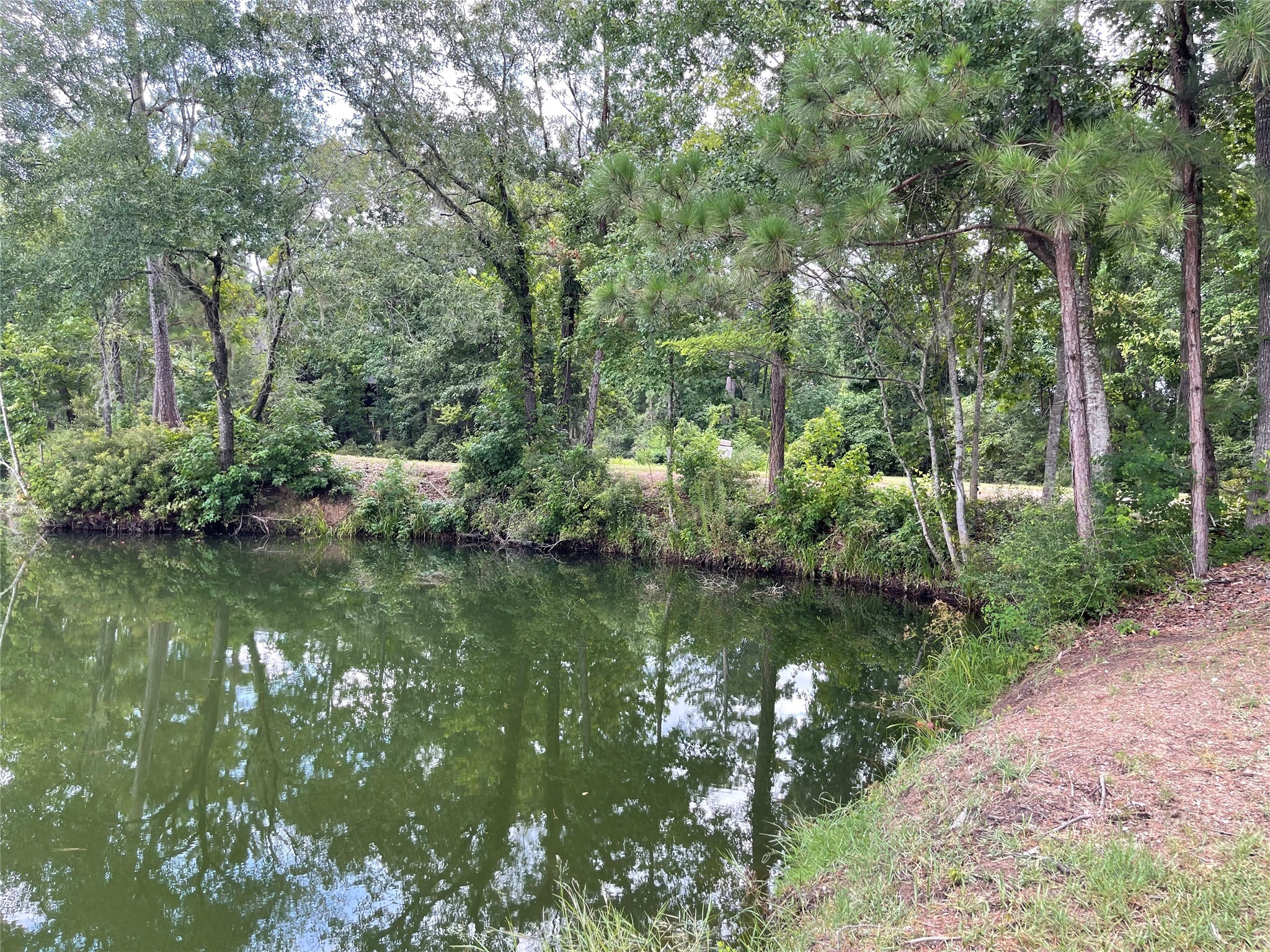 6 Smith Loop South Cleveland, TX 77327 - Photo 10 of 22