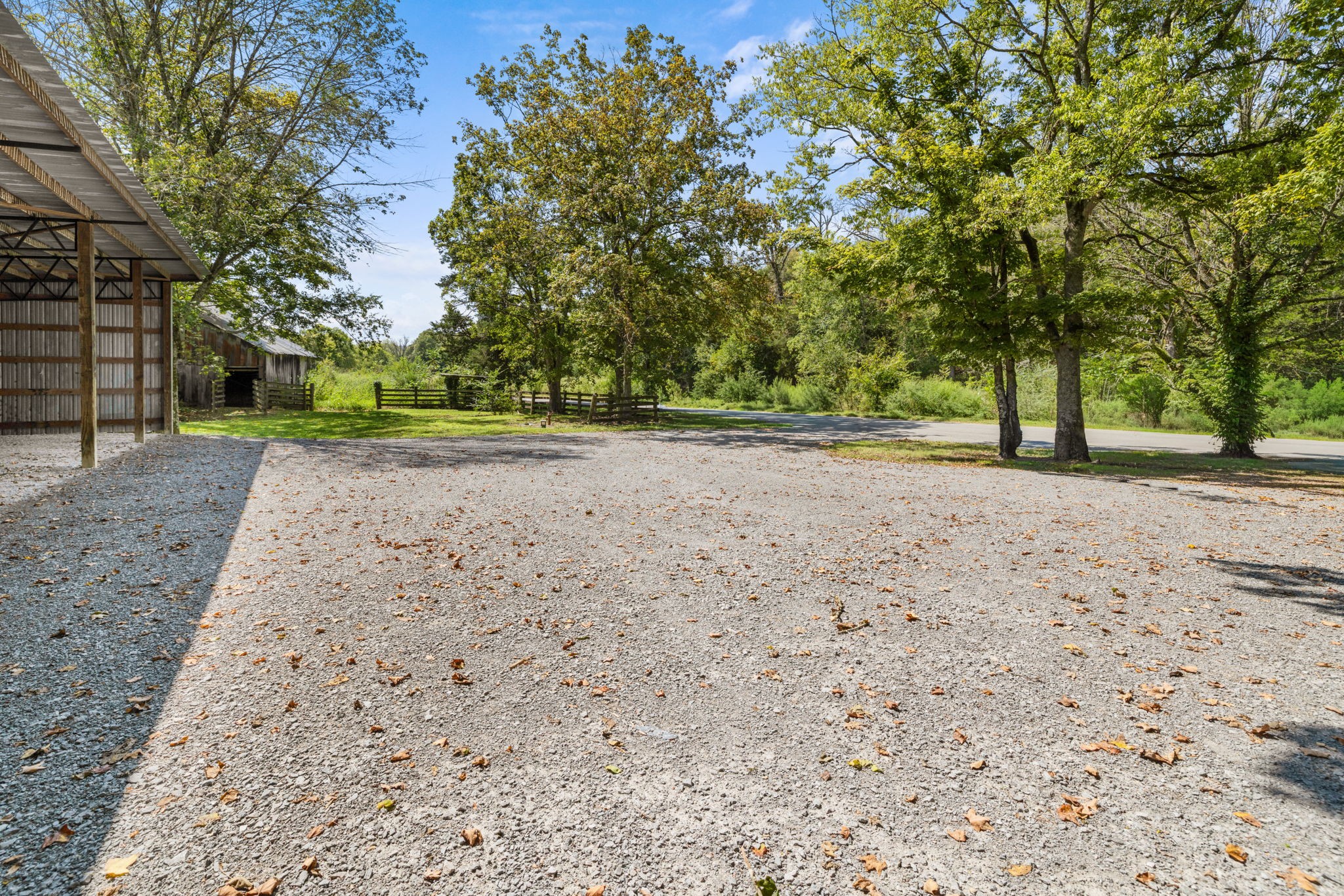 1881 New Herman Road Fayetteville, TN 37334 - Photo 50 of 58 a view of a yard with a trees