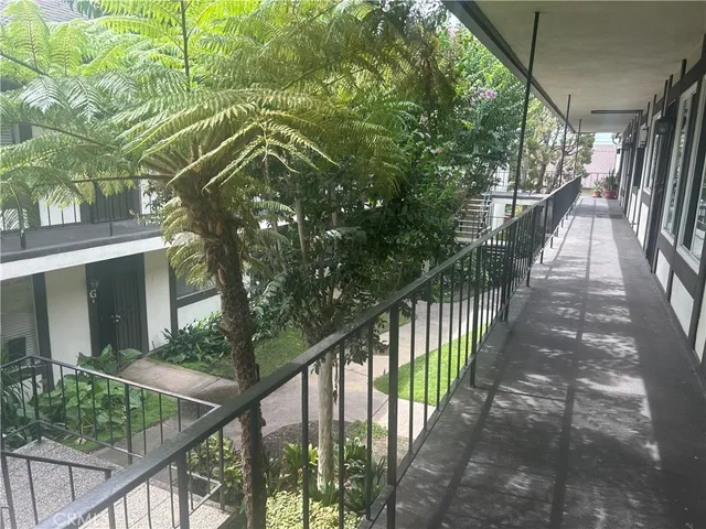 a view of a backyard with large trees