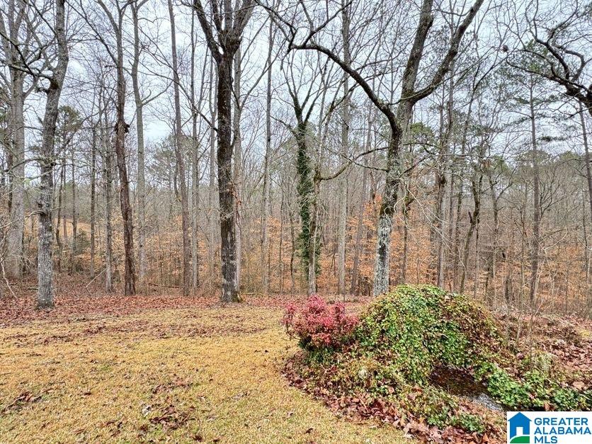 5121 Highway 9 Heflin, AL 36264 - Photo 39 of 54