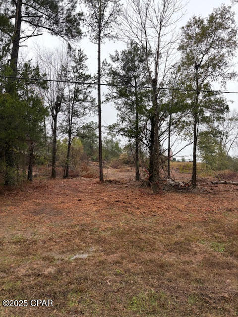 4593 Meadowview Road Marianna, FL 32446 - Photo 1 of 10