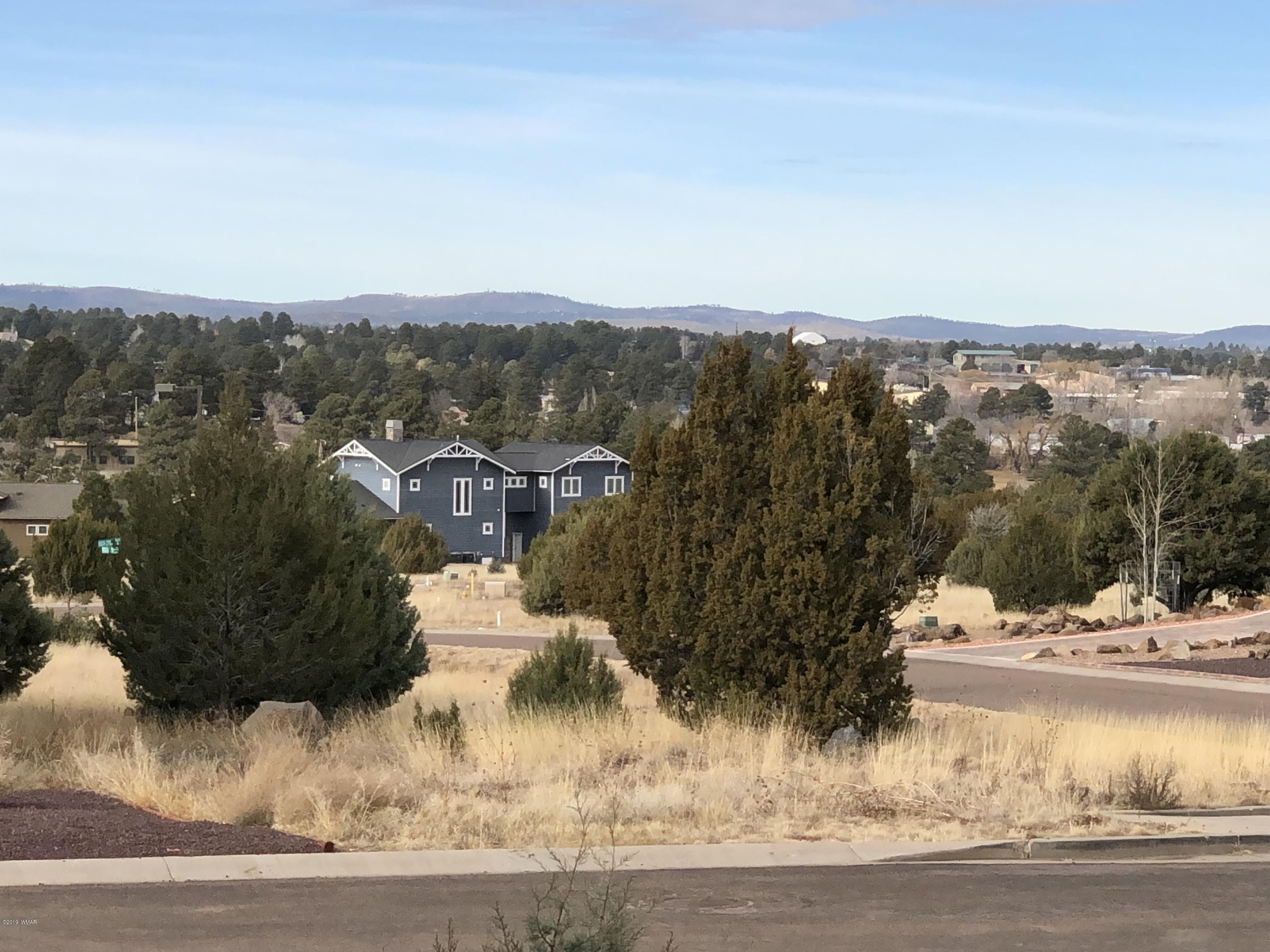 541 South Rock Ridge Drive Show Low, AZ 85901 - Photo 39 of 44
