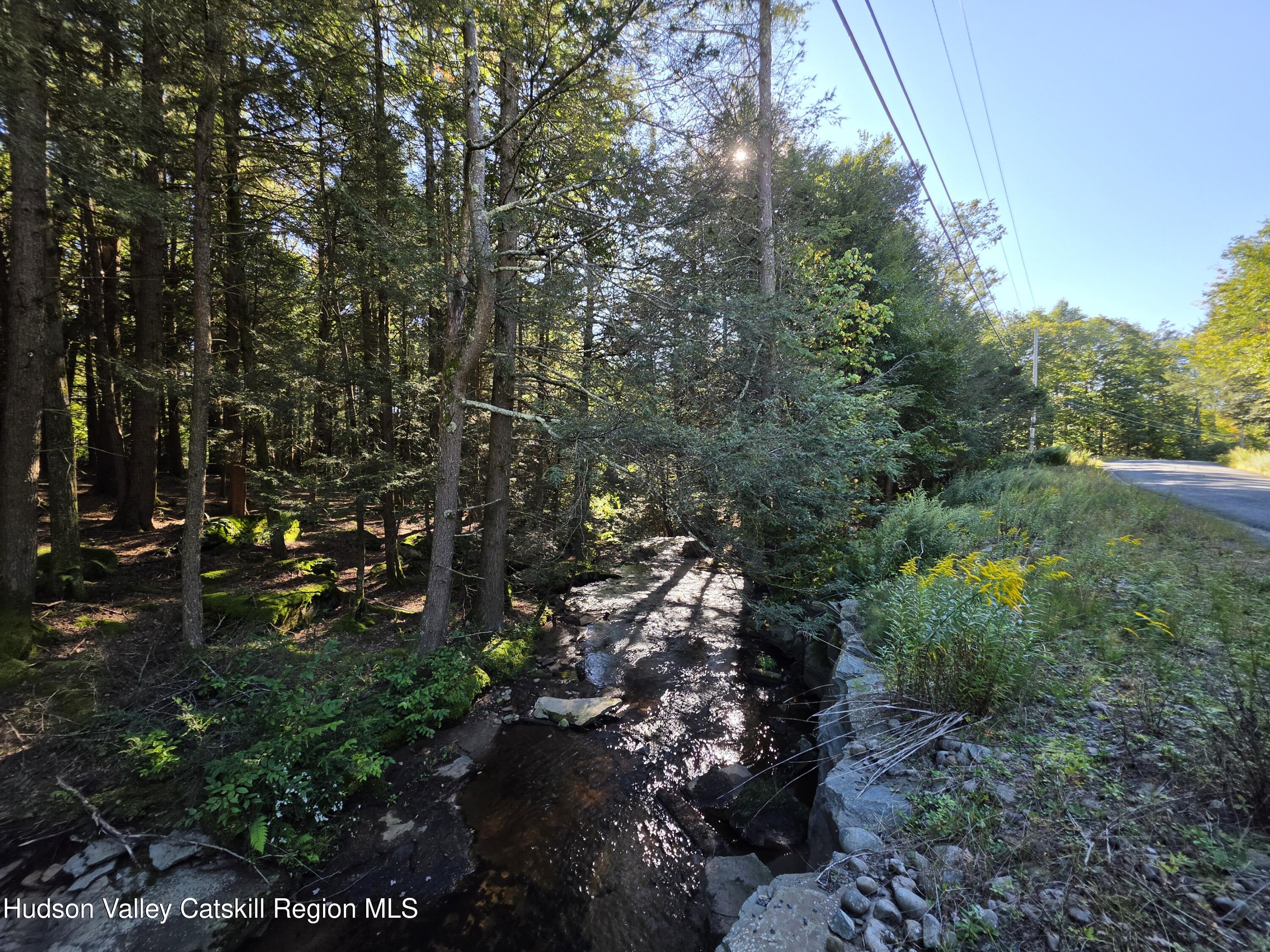 Tbd Anderson Road 1 Road Parksville, NY 12768 - Photo 6 of 27 20260914_162423