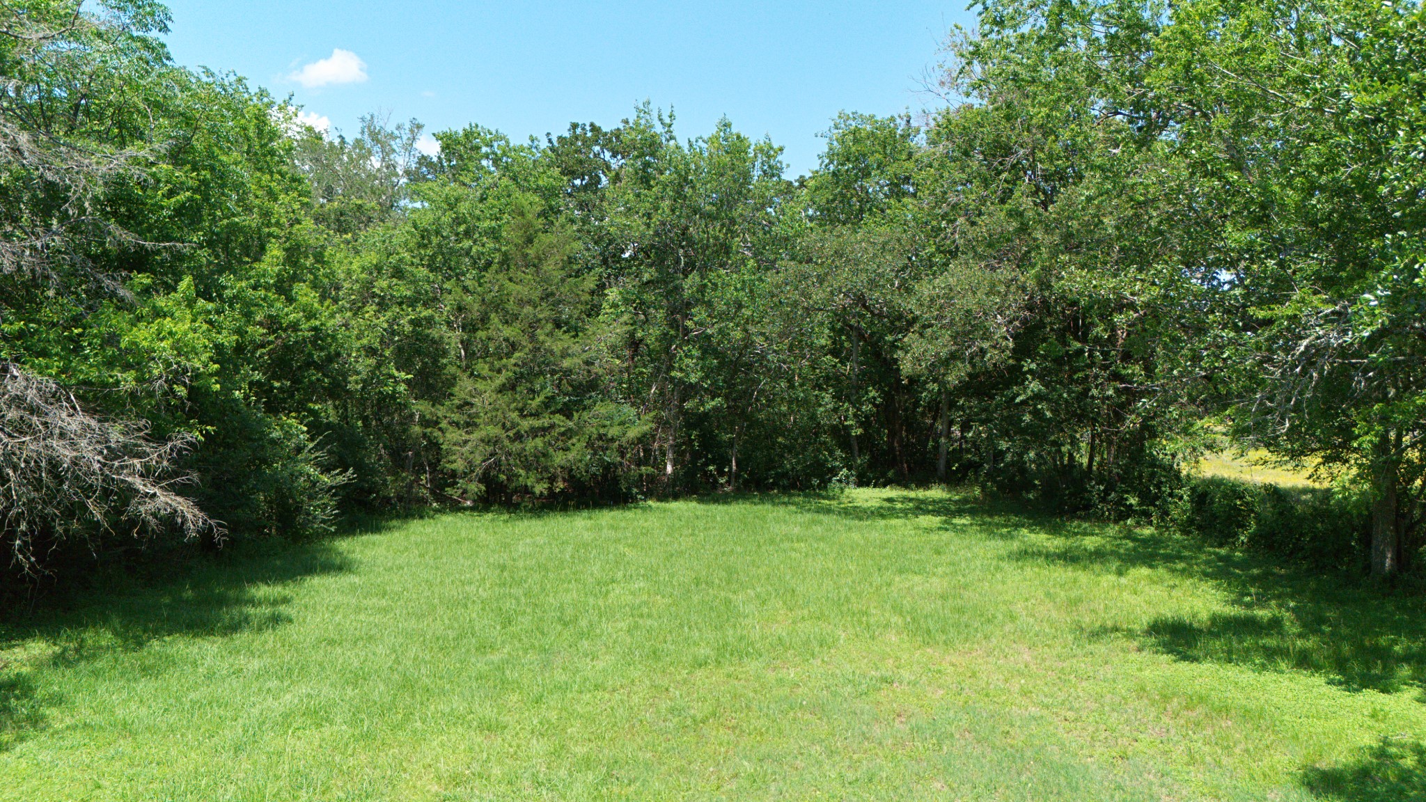 4211 Old Hearne Road Bryan, TX 77803 - Photo 15 of 19 a view of an outdoor space and a yard