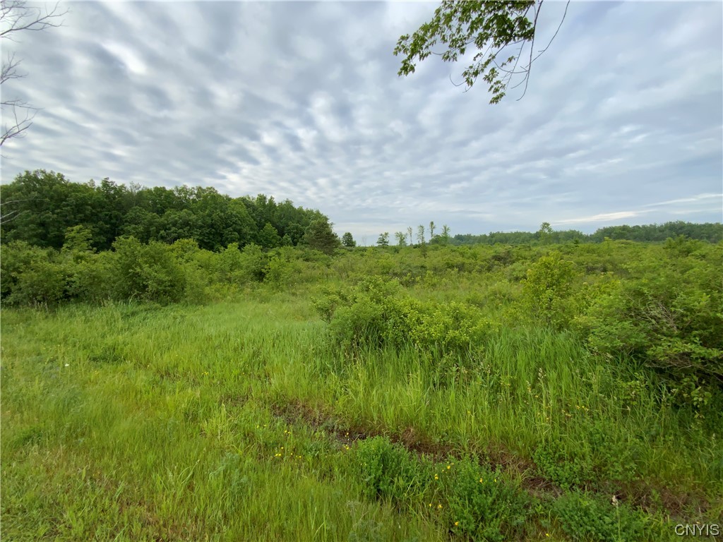 Lot 5 Hart Road La Fargeville, NY 13656 - Photo 1 of 1 Gallery Image 1