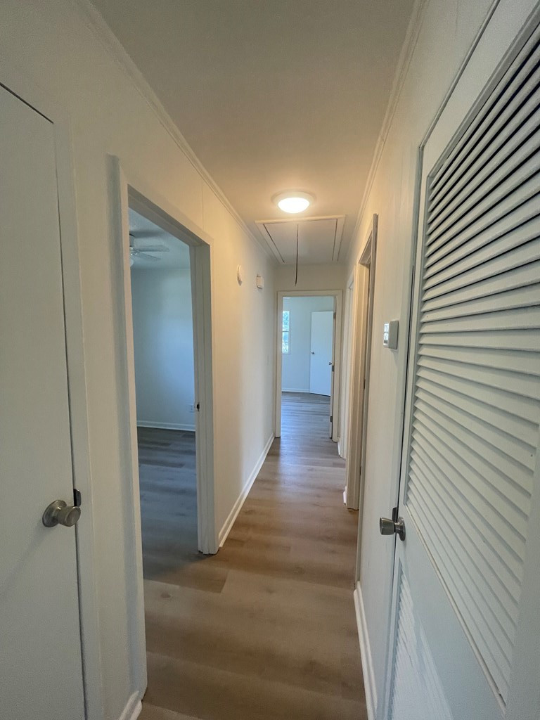215 Independence Avenue Sumter, SC 29153 - Photo 8 of 29 Gallery Image 8