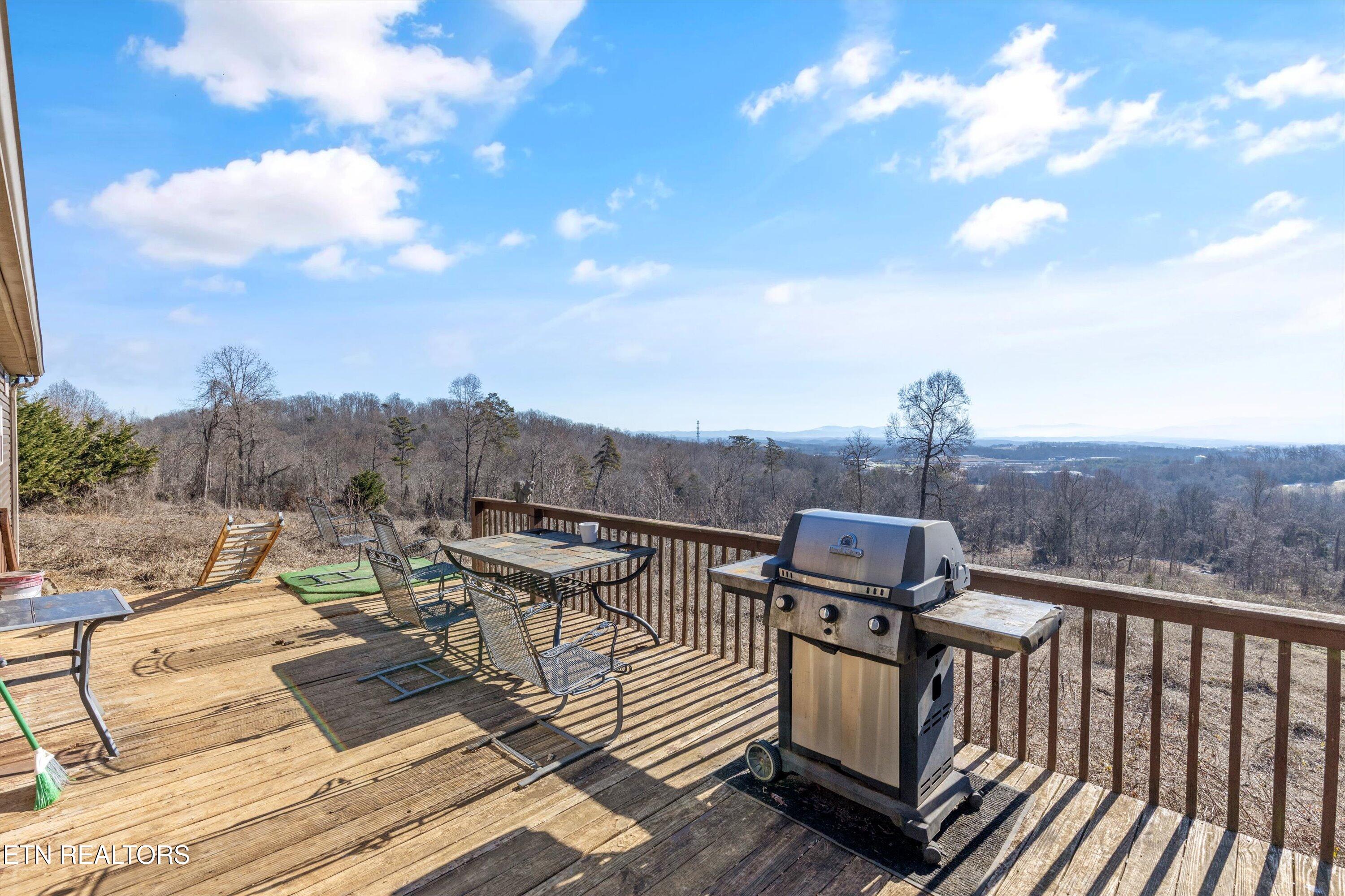 288 South White Pine Road Talbott, TN 37877 - Photo 23 of 32 Back deck