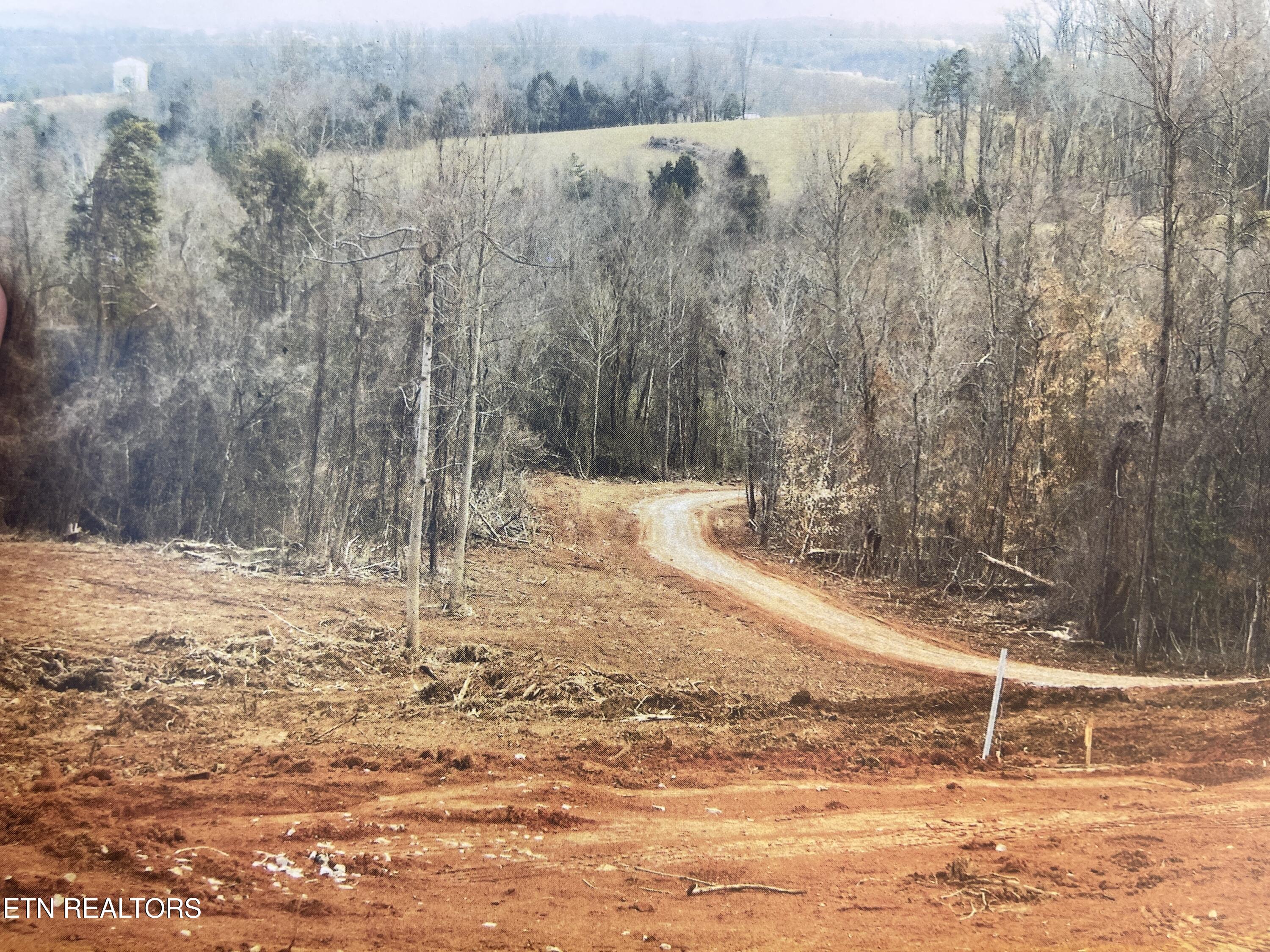 288 South White Pine Road Talbott, TN 37877 - Photo 31 of 32 Land when cleared