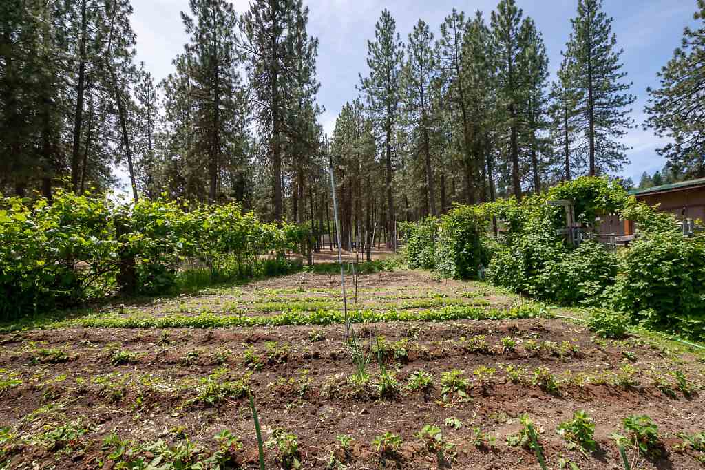 1310 West N Five Mile Road Spokane, WA 99208 - Photo 18 of 20