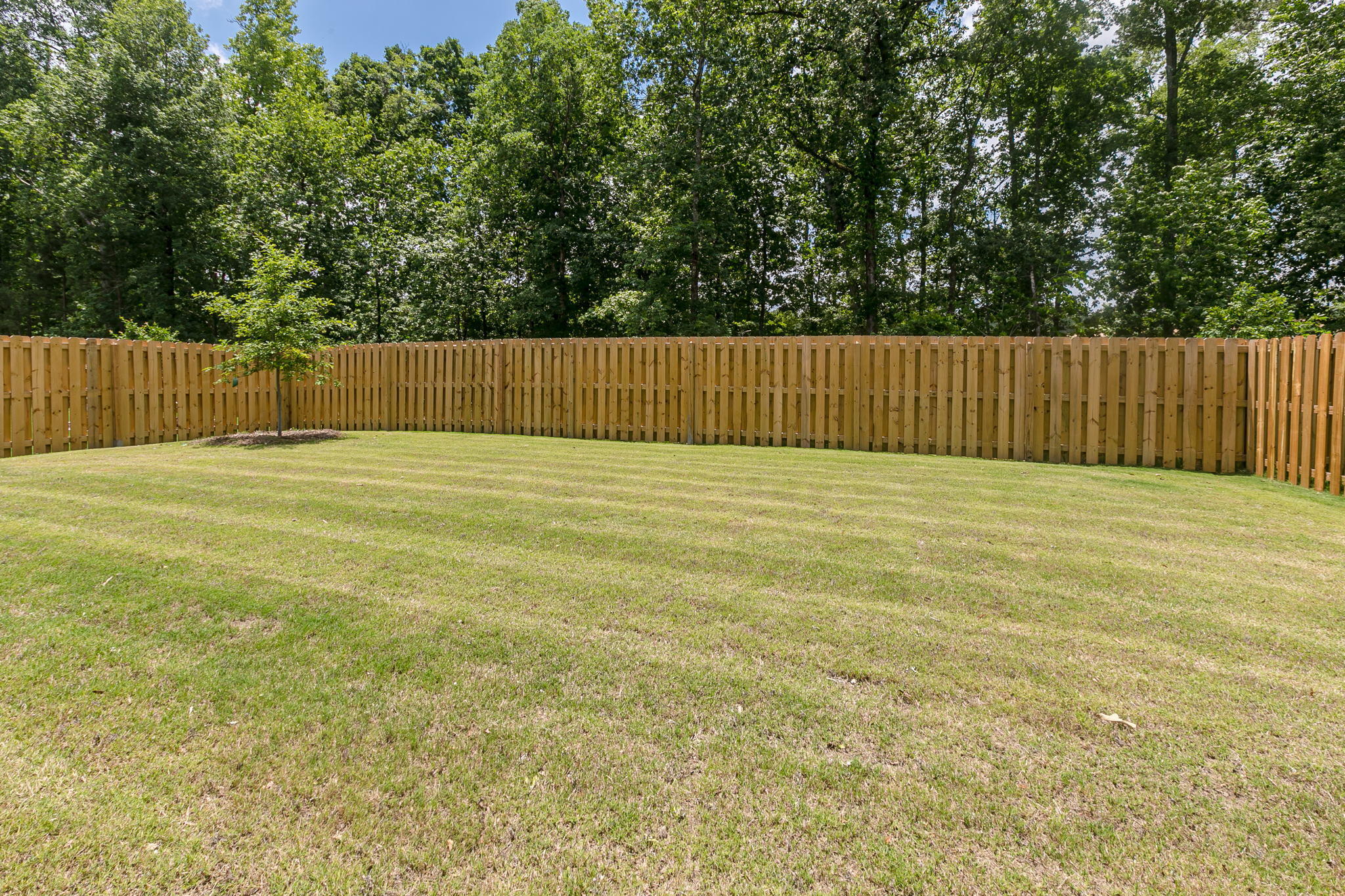 2081 Limerick Court Grovetown, GA 30813 - Photo 37 of 39 44-web-or-mls-SBP_5815