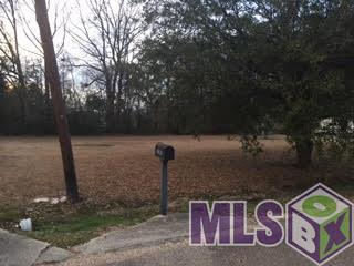 13363 Etienne Road Gonzales, LA 70737 - Photo 2 of 16 Gallery Image 2