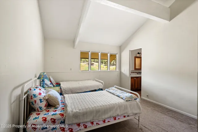 $2,795,000 | 14 Fender Lane, Carbondale, CO 81623