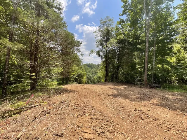 a view of outdoor space with yard