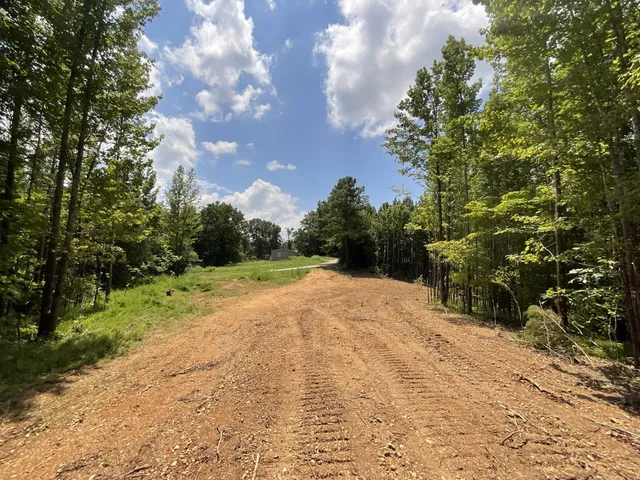 a view of road and trees