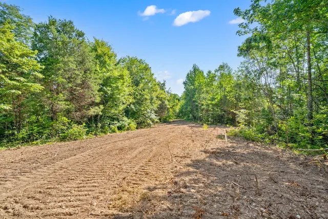 a view of a yard with a tree