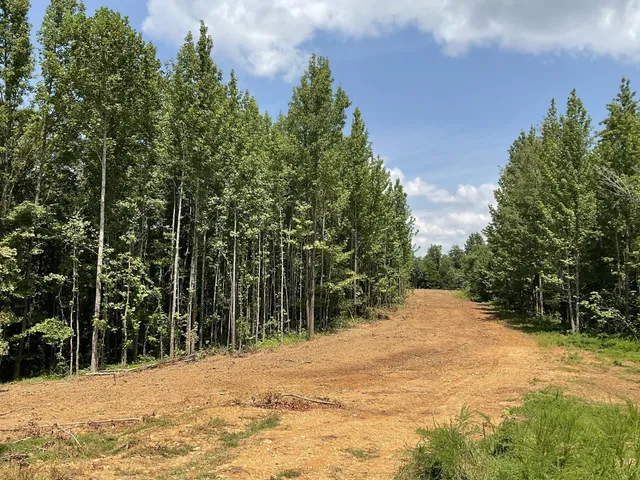 a view of a small yard