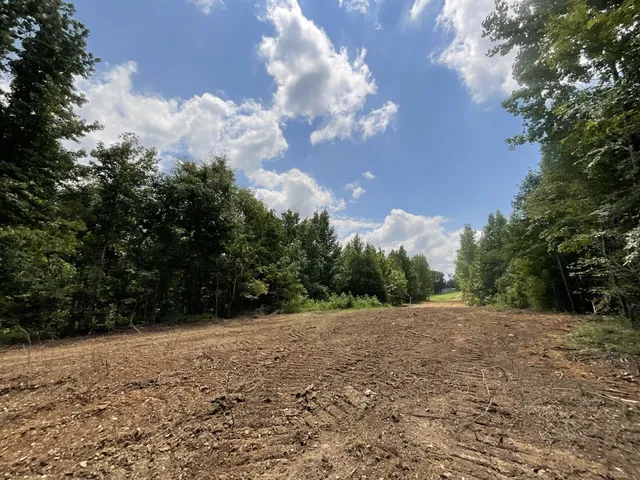 a view of a yard with a tree