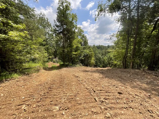 a view of a pathway both side of yard