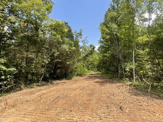 a street view covered with snow