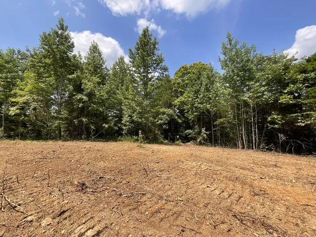 a map view of a forest