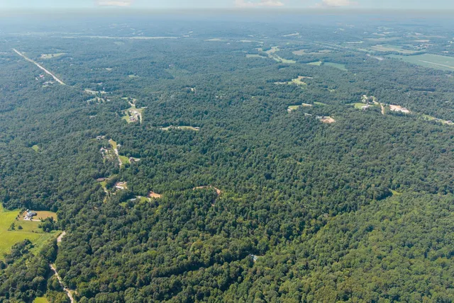 a view of a garden with plants