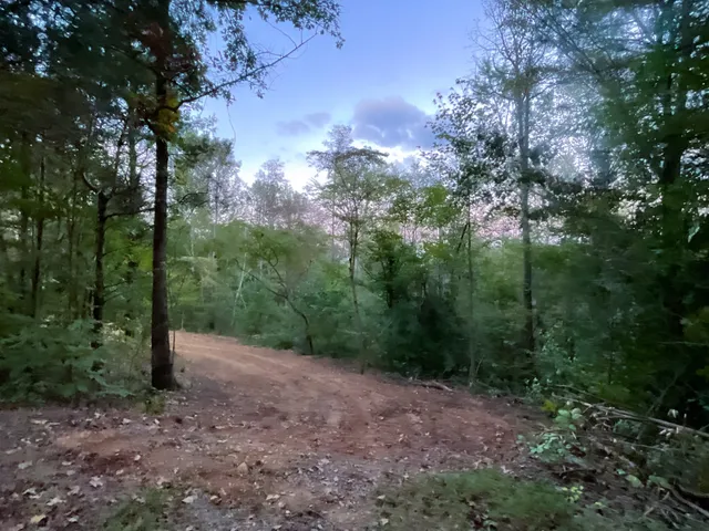 $87,000 | 2 Lyle Hollow Road, Palmyra, TN 37142