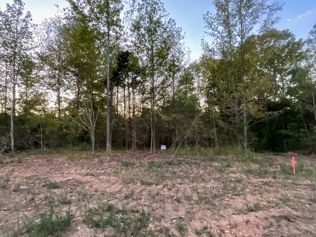 $87,000 | 2 Lyle Hollow Road, Palmyra, TN 37142