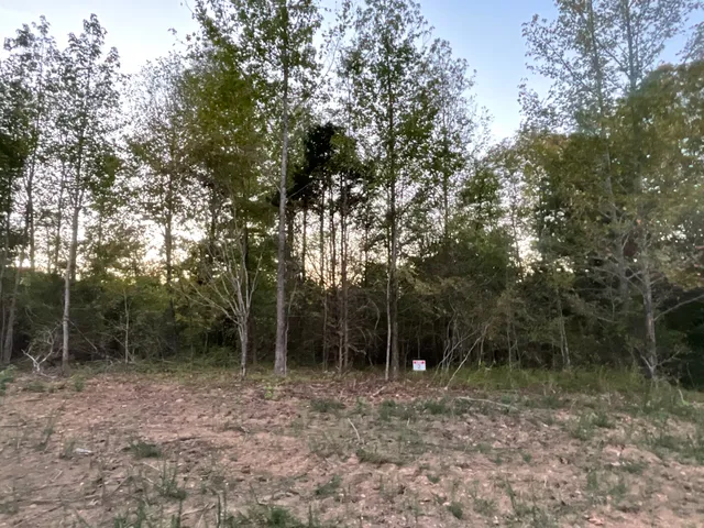a view of outdoor space with trees
