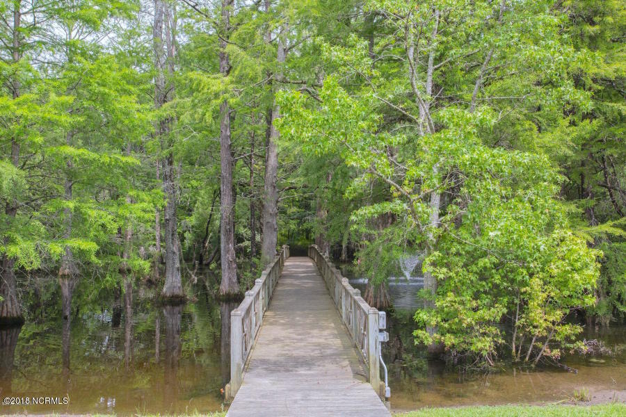 160 Iris Way Hampstead, NC 28443 - Photo 65 of 82 74