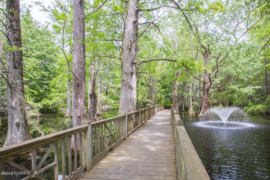 160 Iris Way Hampstead, NC 28443 - Photo 66 of 82 73