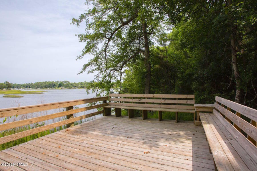 160 Iris Way Hampstead, NC 28443 - Photo 67 of 82 75