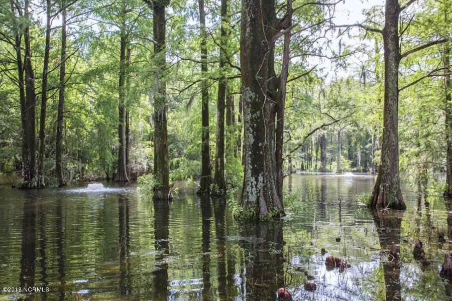 160 Iris Way Hampstead, NC 28443 - Photo 69 of 82 70