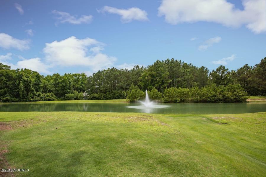 160 Iris Way Hampstead, NC 28443 - Photo 70 of 82 72