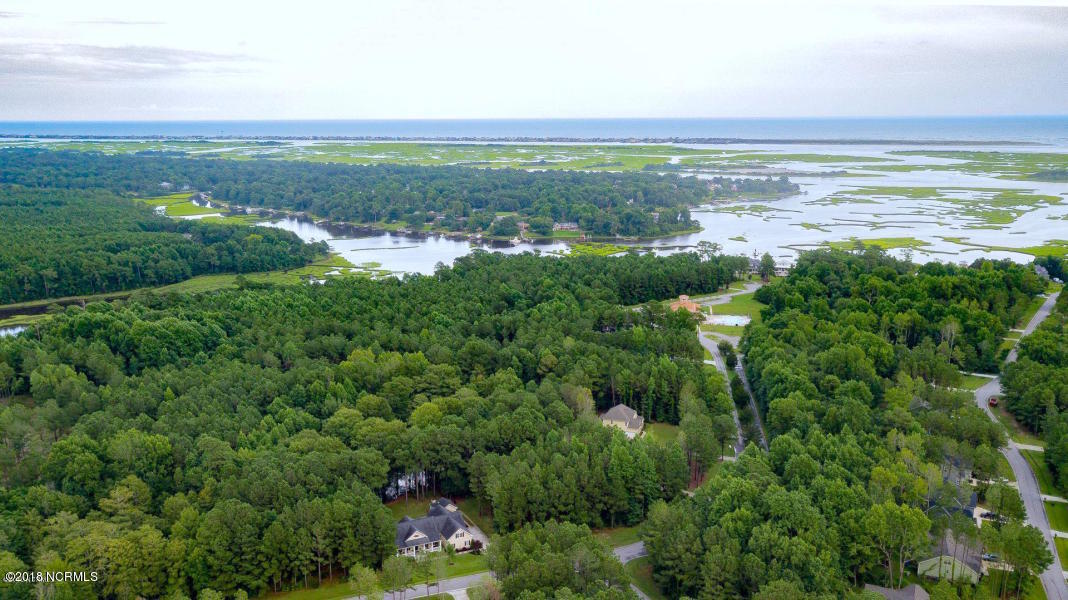 160 Iris Way Hampstead, NC 28443 - Photo 80 of 82 80