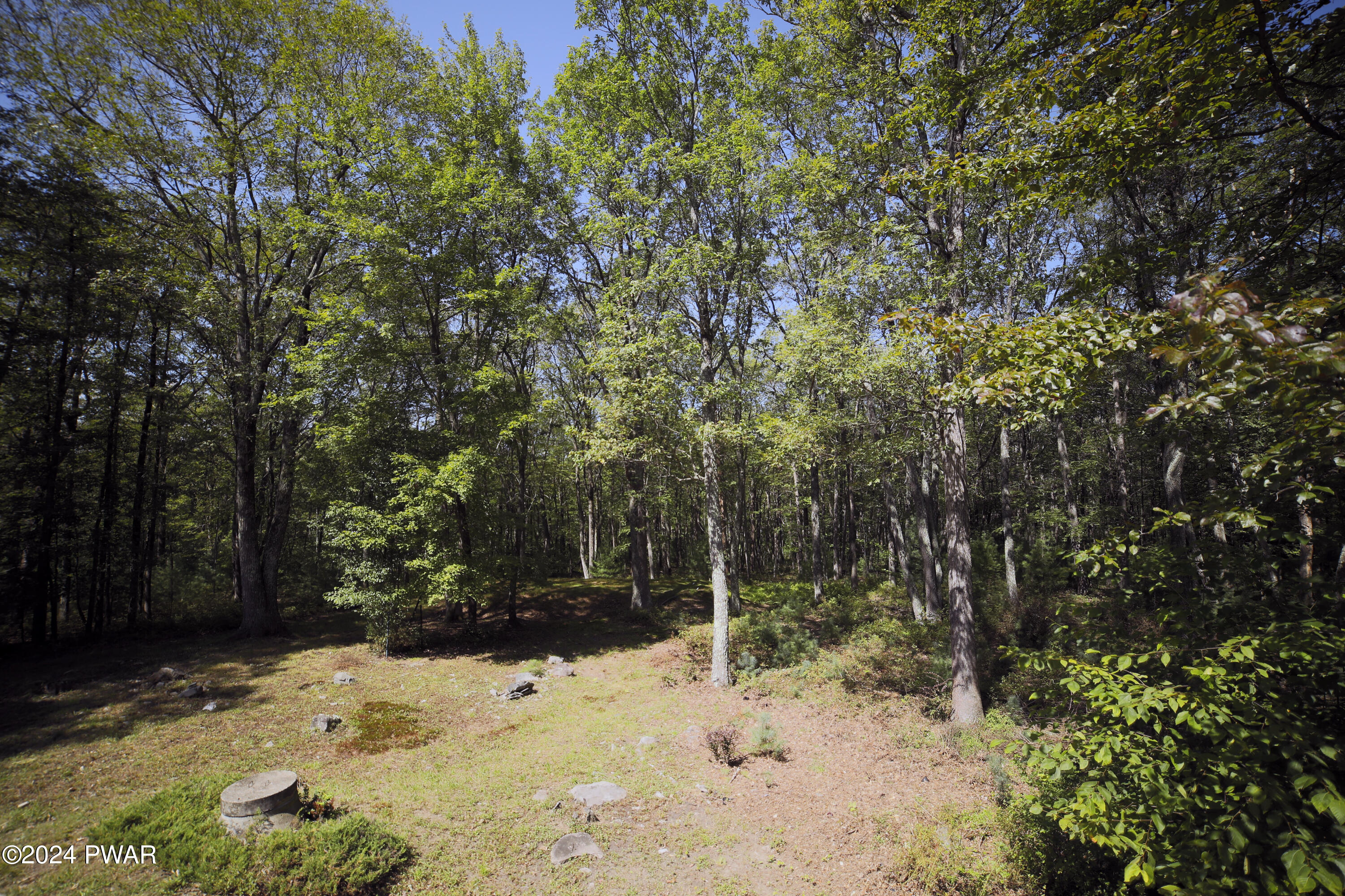 173 Meadow Ridge Acres Road Dingmans Ferry, PA 18328 - Photo 34 of 36 _K4L1532