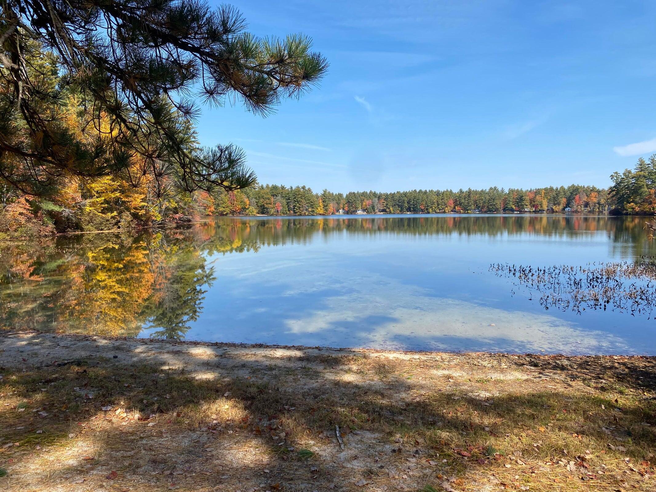 Lot #4 Sand Pond Road East Baldwin, ME 04024 - Photo 5 of 10 Photo 6