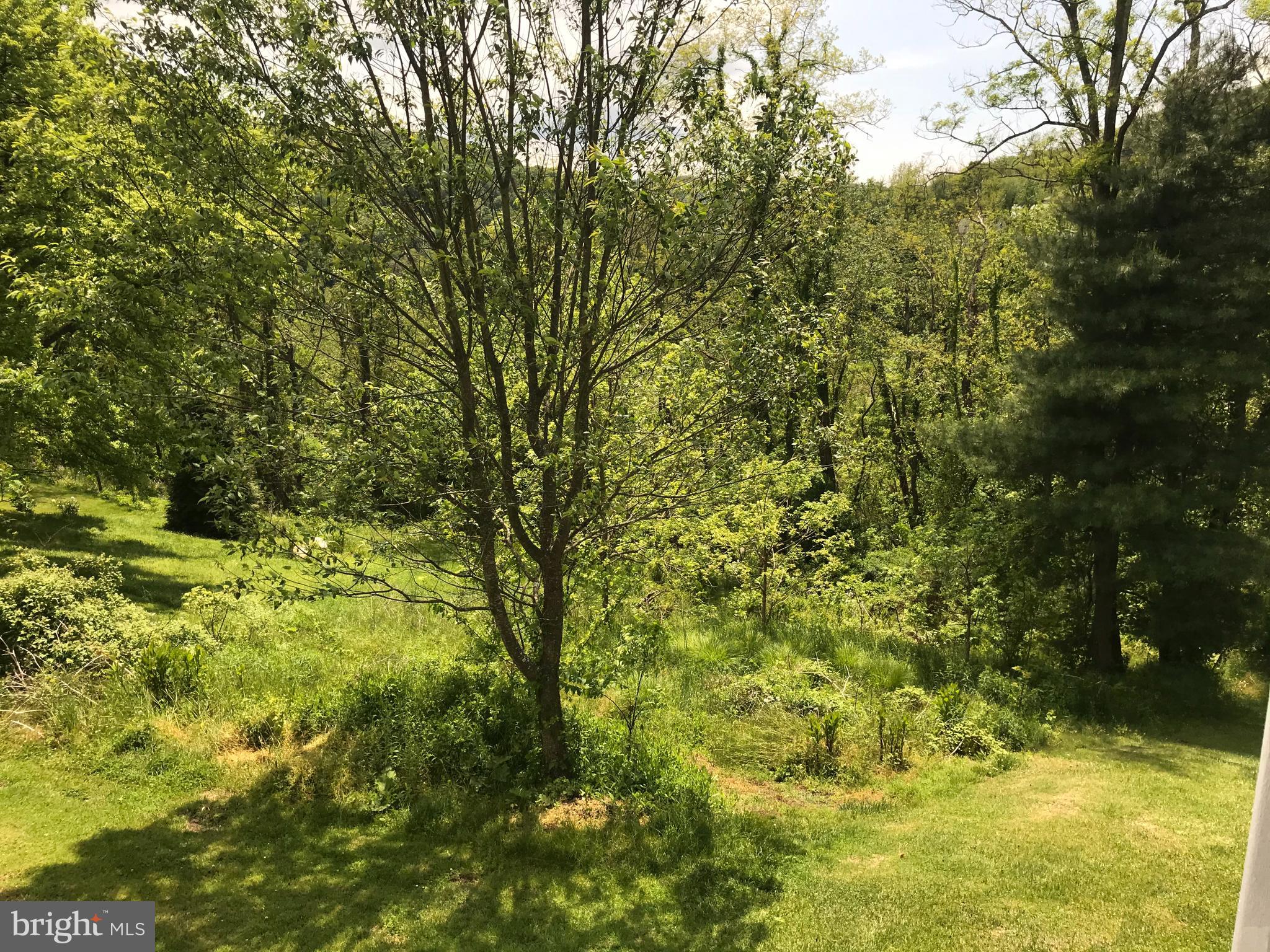 12901 New Row Rd N West Mount Savage, MD 21545 - Photo 12 of 53 Gallery Image 12