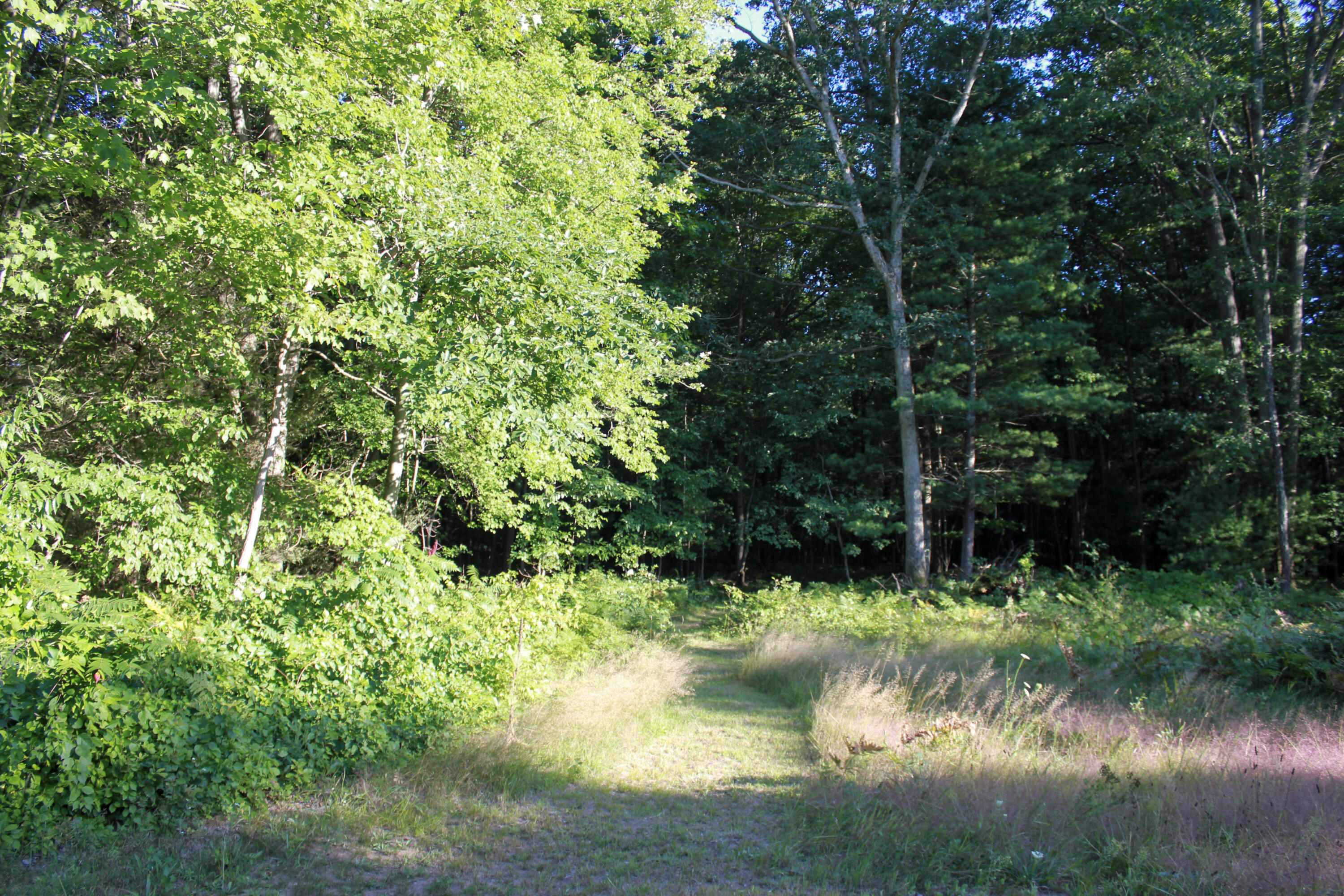 3429 West Giles Road Muskegon, MI 49445 - Photo 54 of 58 4-IMG_9729